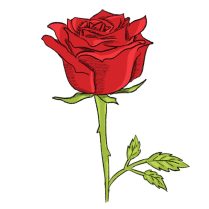 S29D, 31 ans, hétérosexuelPo, Burkina Faso